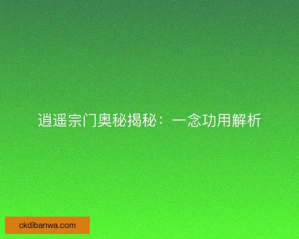 逍遥宗门奥秘揭秘：一念功用解析