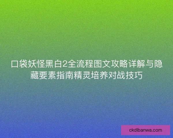 口袋妖怪黑白2全流程图文攻略详解与隐藏要素指南精灵培养对战技巧