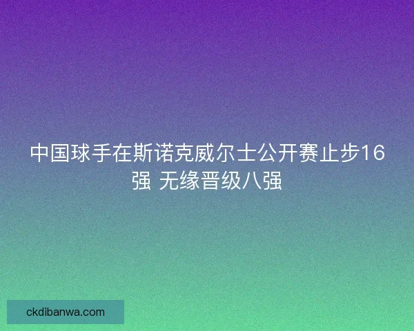 中国球手在斯诺克威尔士公开赛止步16强 无缘晋级八强