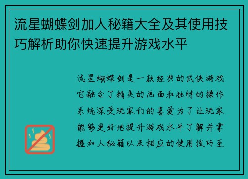 流星蝴蝶剑加人秘籍大全及其使用技巧解析助你快速提升游戏水平